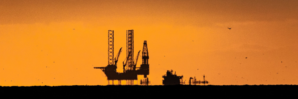 Environmental Consultancy
