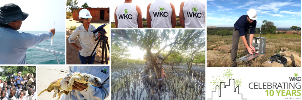WKC Group 10 year heading