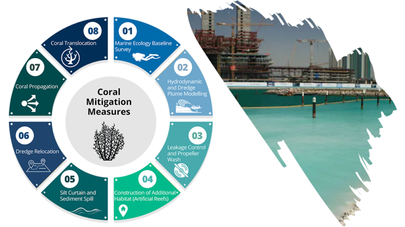 Environmental Impacts of Dredging on Coral Reefs | WKC Group