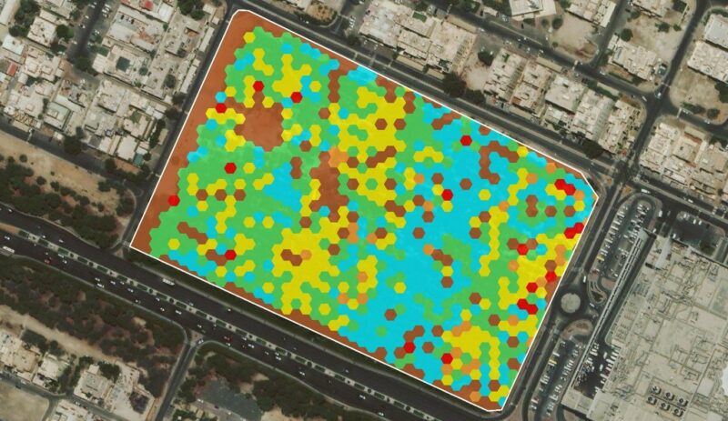 Tree Health Survey