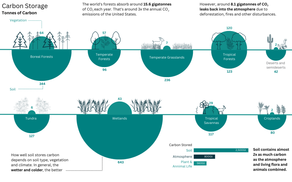 Carbon Sequestration by Different Ecosystems