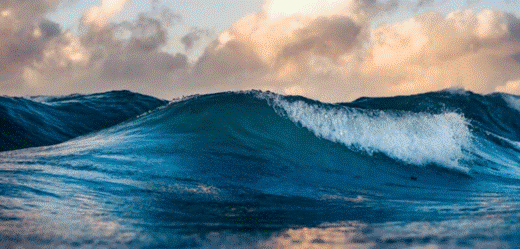 Seawater Density Calculator