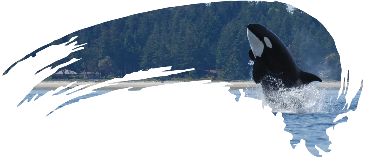 UK-Whale