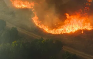 A forest fire blazes, with bright flames contrasting against the dark green trees.