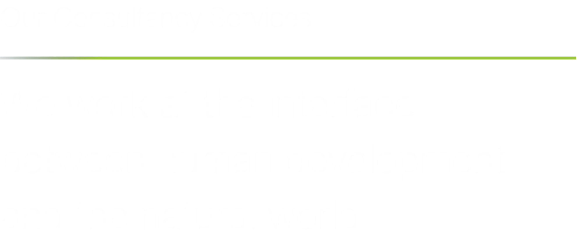 Our-Consultancy-Services