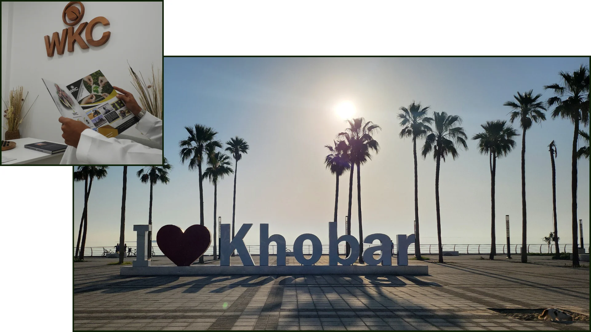 WKC-Arabia
