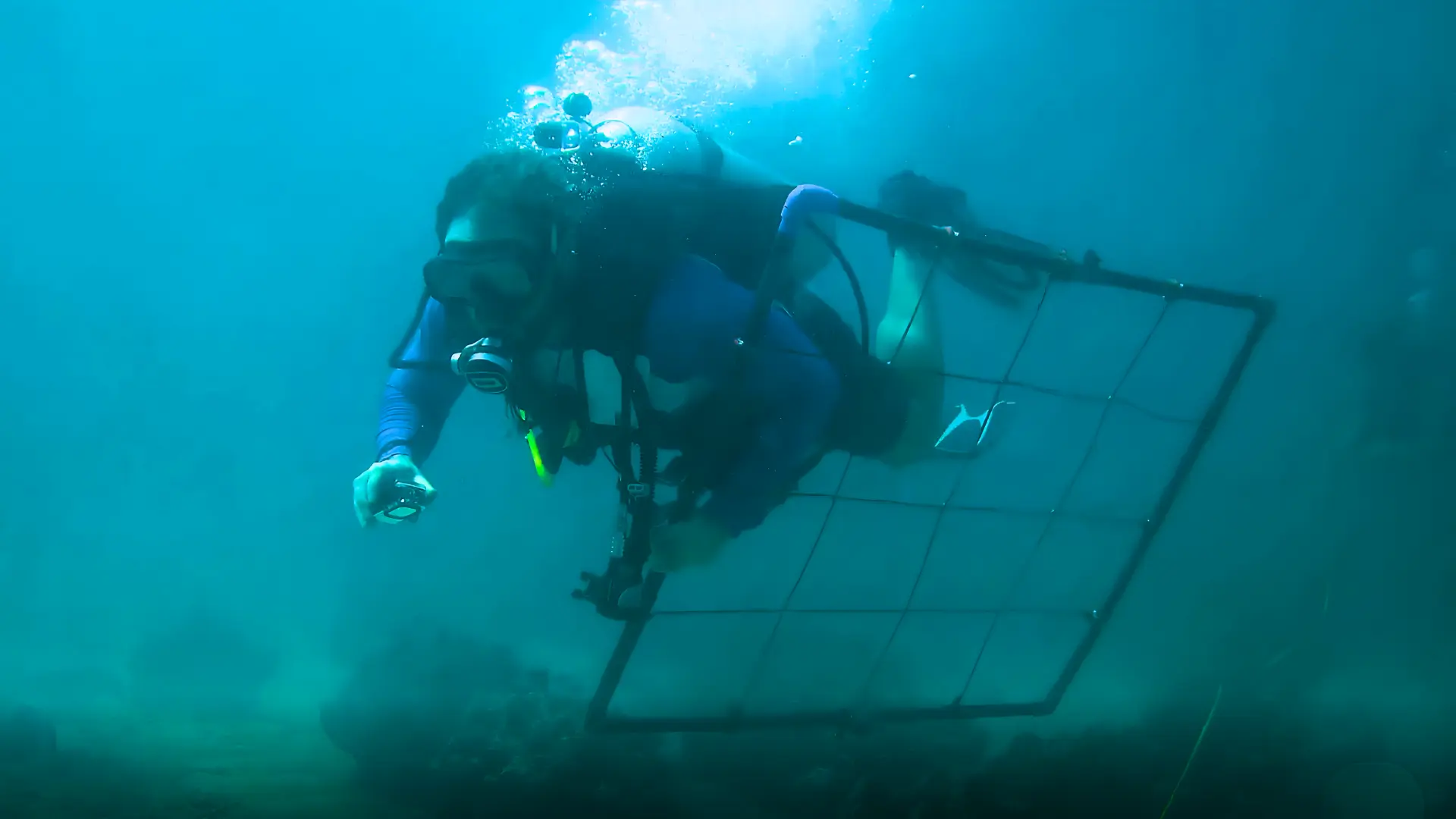 Ravel-Diving-WKC-Group